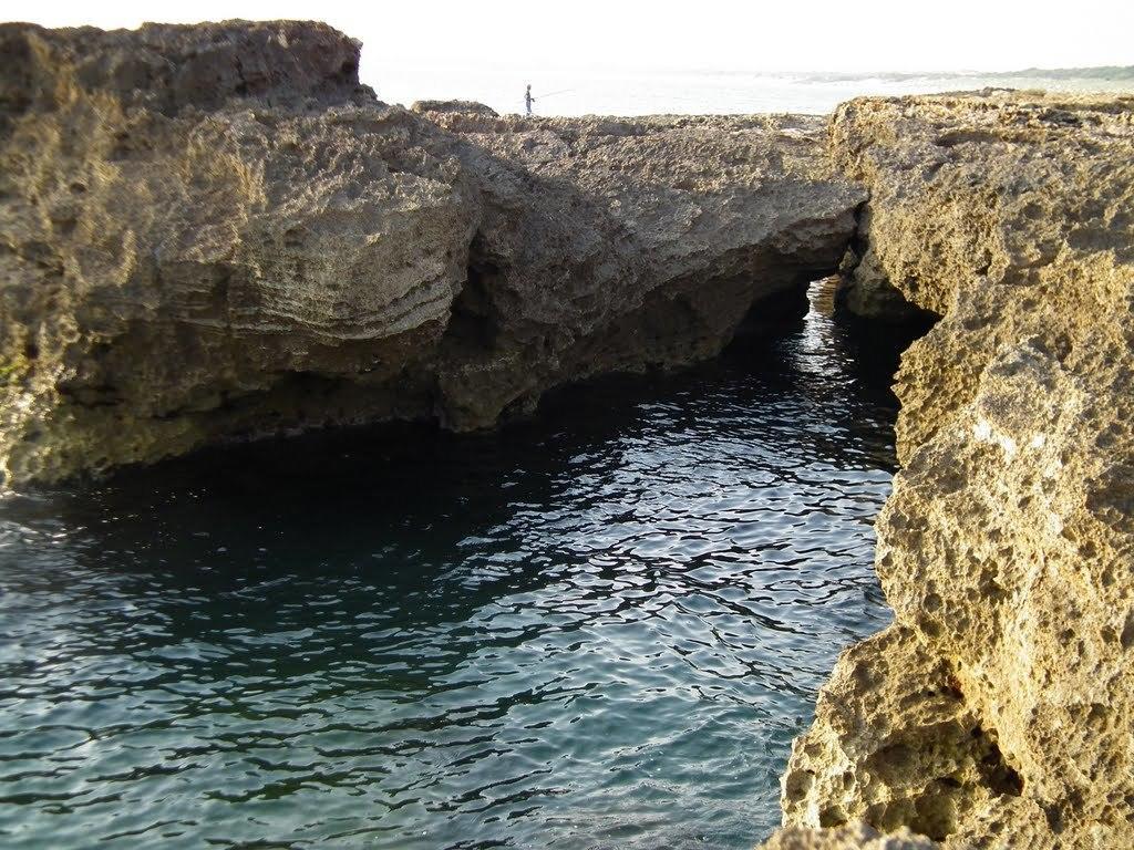 Cala Vigliena Il Sole Negli Occhi Villa Punta Braccetto Værelse billede